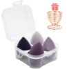 Makeup Sponges Set - Beauty sponges Blending Blenders with 1 Holder and Egg Case, Flawless for Cream, Powder and Liquid (Pink, 4Pcs+1Holder+ case)