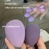 Makeup Sponge Set, 14 Pcs for Liquid Cream, and Powder Latex Free Makeup Blender Sponges Multi-colored for Makeup Application with Storage Box Purple Gifts